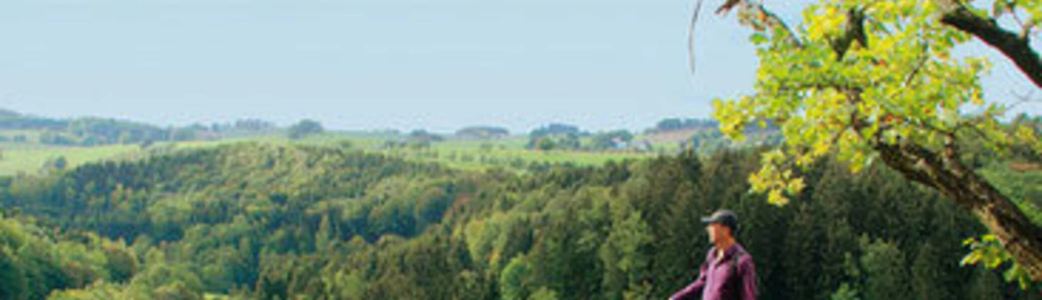 Buchcover Erzgebirge | © ROTHER Verlag