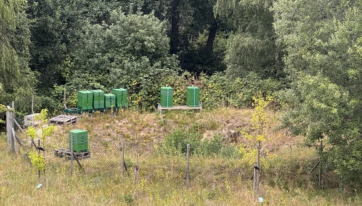 Außenansicht auf Bienenkästen | © DAV Bremen