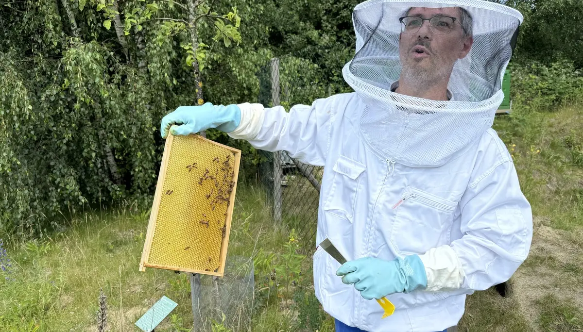 Imker in Schutzanzug zeigt Warben, Nahaufnahme | © DAV Bremen