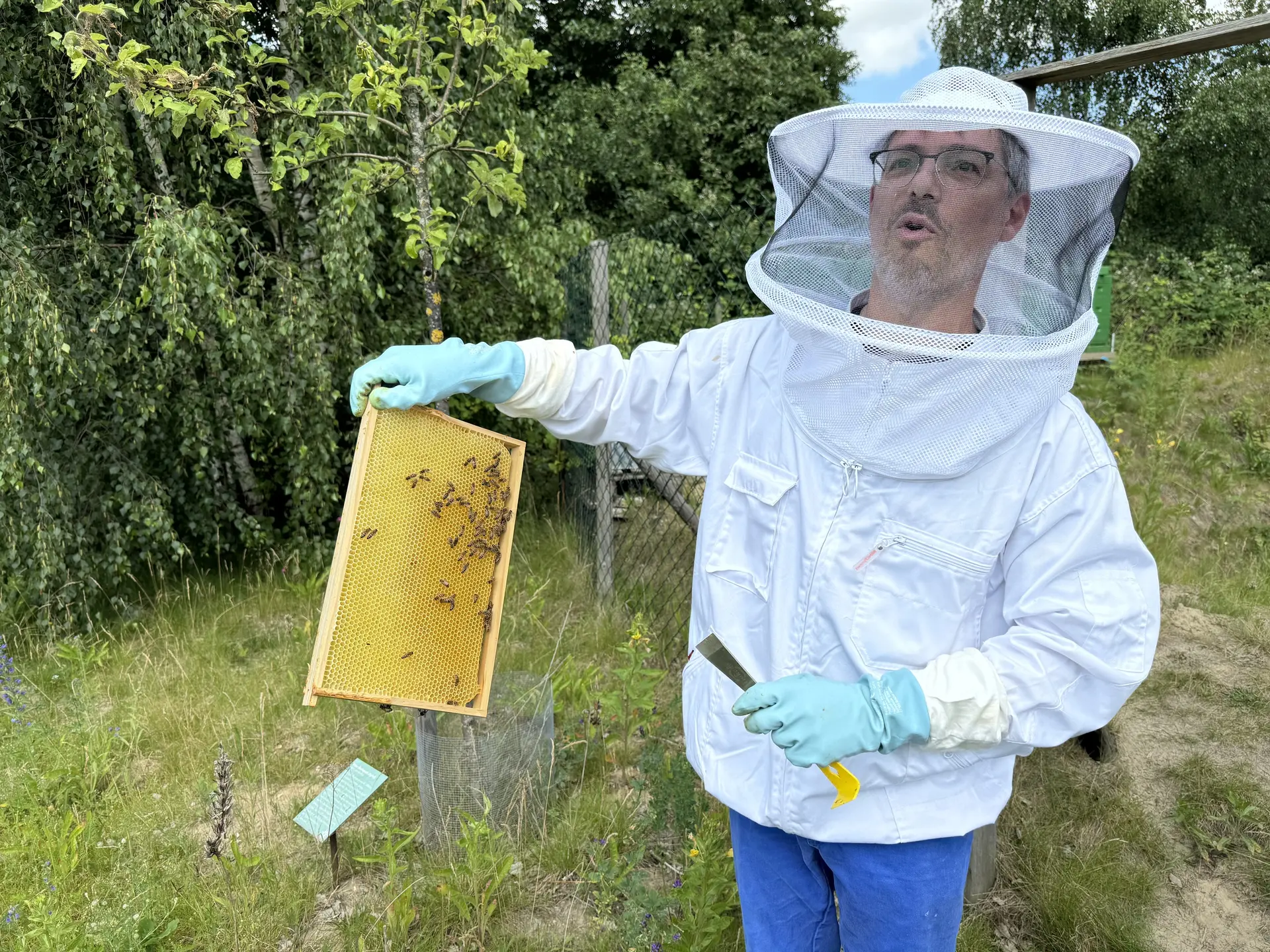 Imker in Schutzanzug zeigt Warben, Nahaufnahme | © DAV Bremen