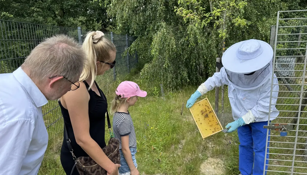 Imker in Schutzanzug zeigt Warben einem Kind | © DAV Bremen
