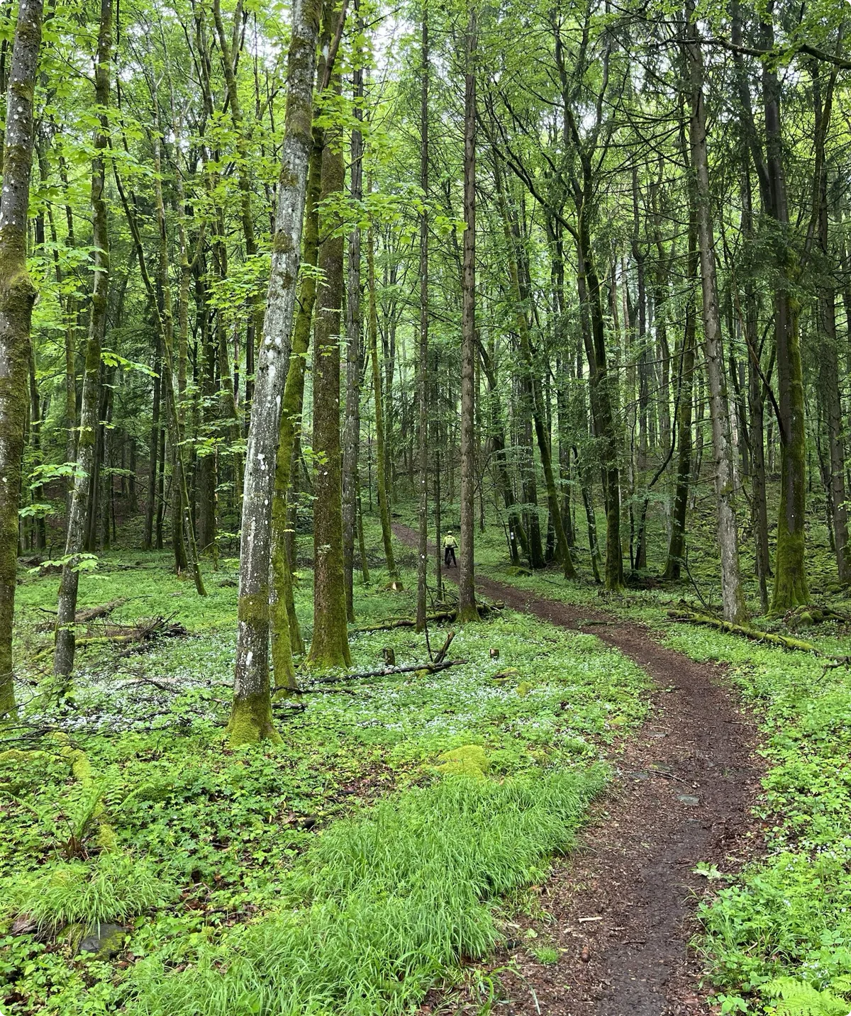 Ausfahrt der MTB-Gruppe | © DAV Bremen