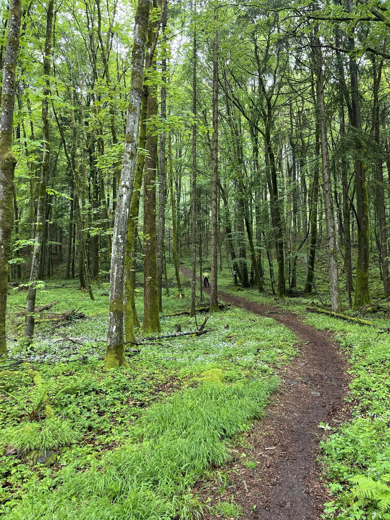 Ausfahrt der MTB-Gruppe | © DAV Bremen