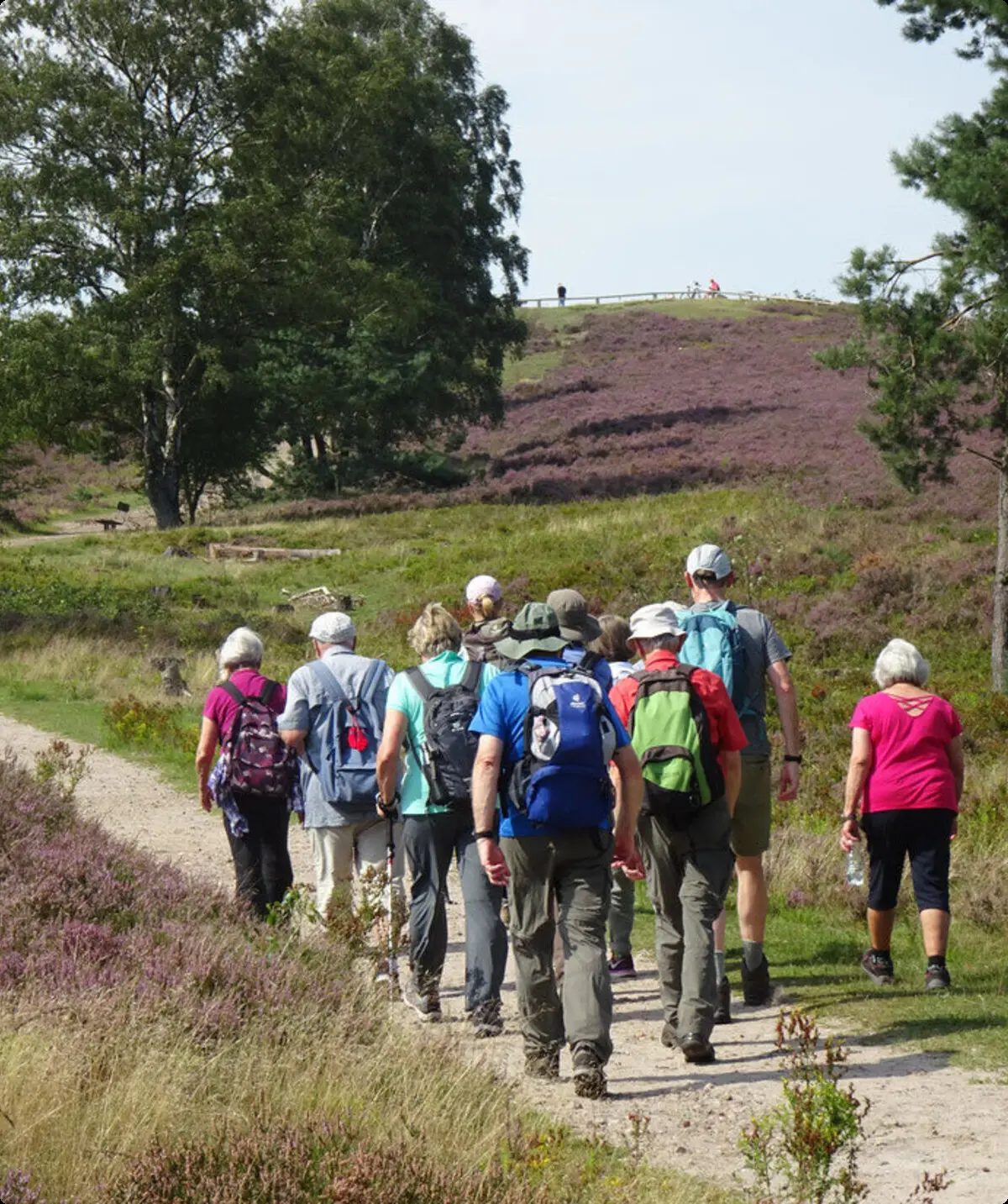 Wandergruppe in der Lüneburger Heide | © DAV Bremen