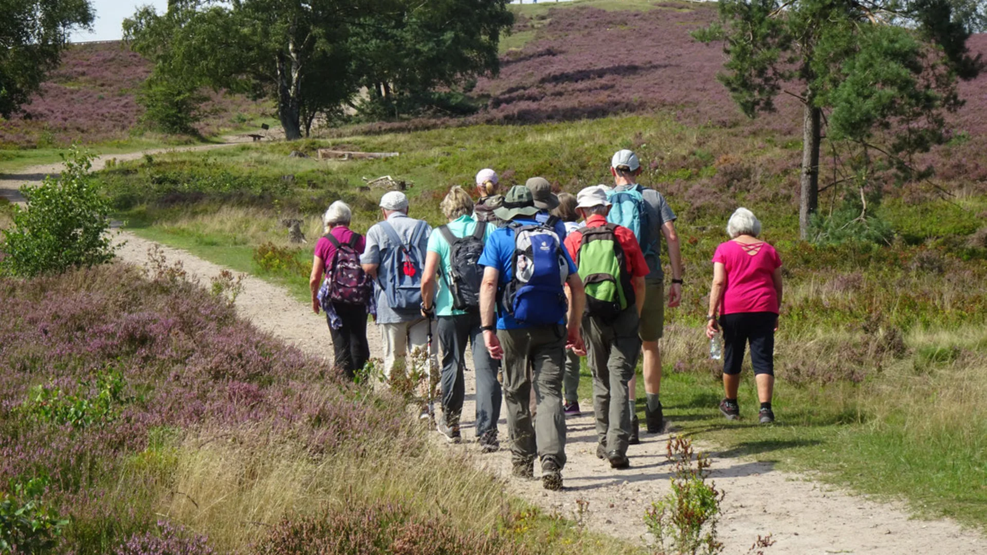 Wandergruppe in der Lüneburger Heide | © DAV Bremen Wandergruppe in der Lüneburger Heide | © DAV Bremen