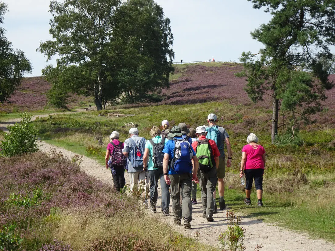 Wandergruppe in der Lüneburger Heide | © DAV Bremen