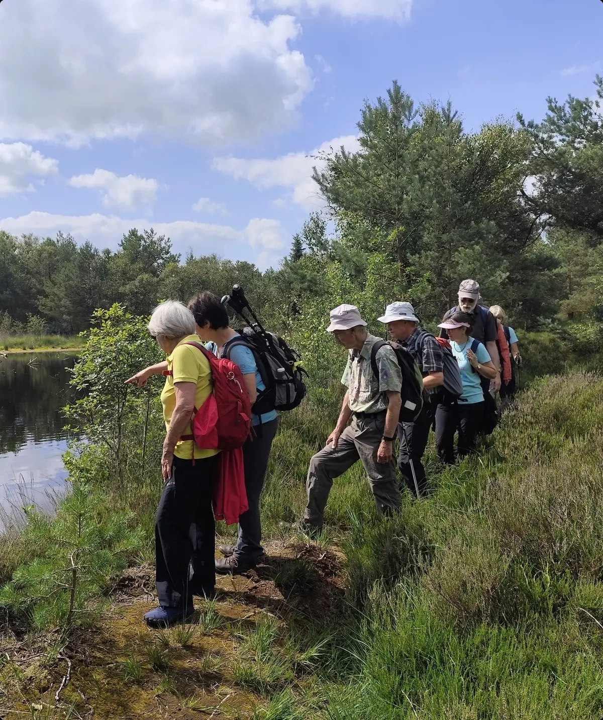 Wandergruppe Delmenhorst im Hamberger Moor | © DAV Bremen