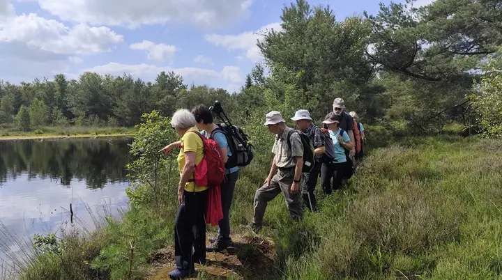 Wandergruppe Delmenhorst im Hamberger Moor | © DAV Bremen