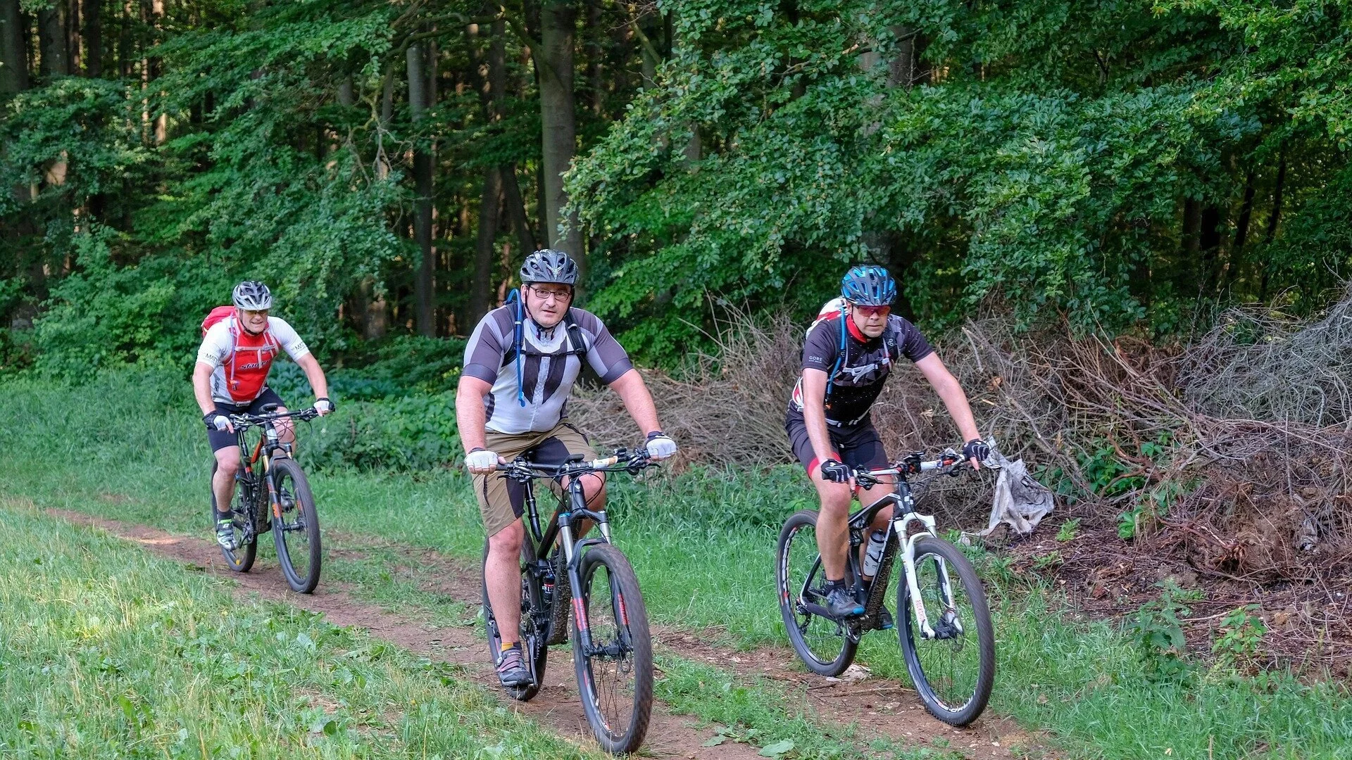 3 Mountainbiker im Solling | © Bild von <a href="https://pixabay.com/de/users/em80-846530/?utm_source=link-attribution&utm_medium=referral&utm_campaign=image&utm_content=3469484">EM80</a> auf <a href="https://pixabay.com/de//?utm_source=link-attribution&utm_medium=referral&utm_campaign=image&utm_content=3469484">Pixabay</a>