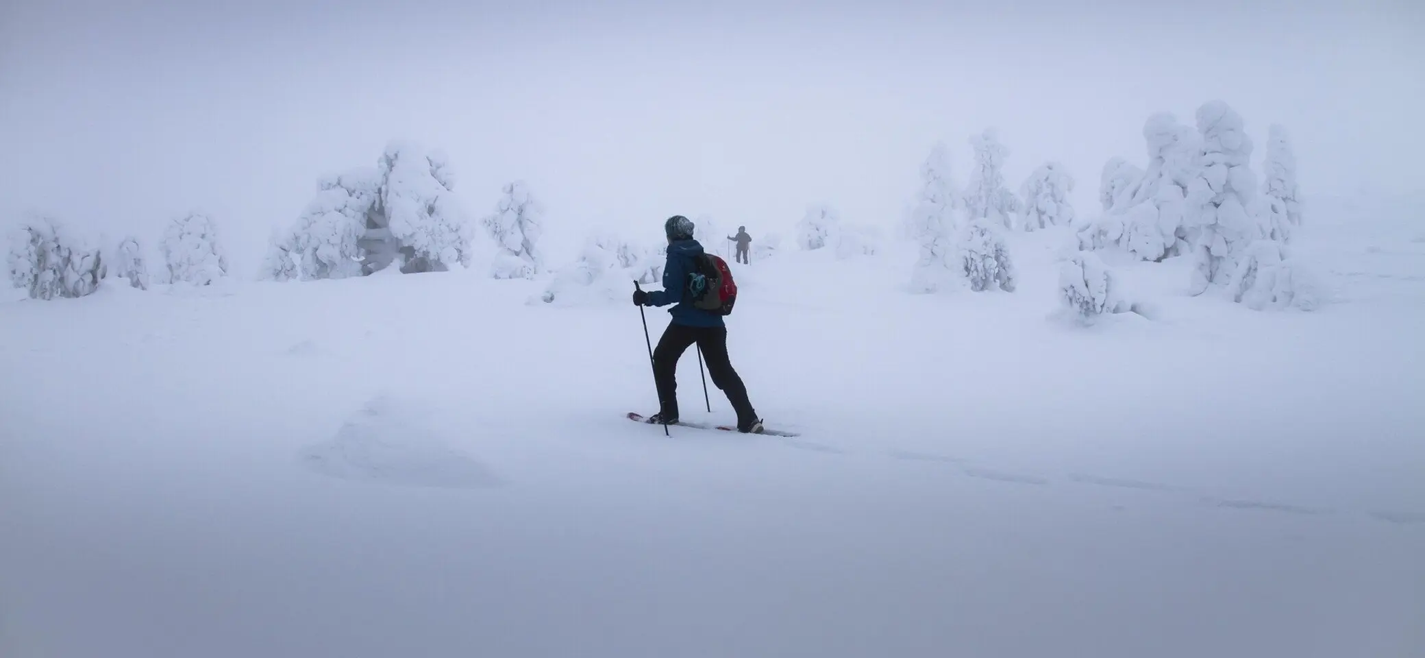 Schneeschuhwandern | © Bild von <a href="https://pixabay.com/de/users/adege-4994132/?utm_source=link-attribution&utm_medium=referral&utm_campaign=image&utm_content=2733211">Andreas</a> auf <a href="https://pixabay.com/de//?utm_source=link-attribution&utm_medium=referral&utm_campaign=image&utm_content=2733211">Pixabay</a>